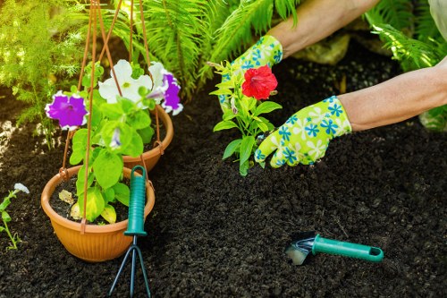 Accessible landscapers Osterley website content on a screen-reader friendly page
