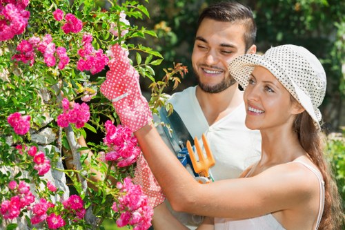 Osterley landscaping site content reviewed for accessibility and usability