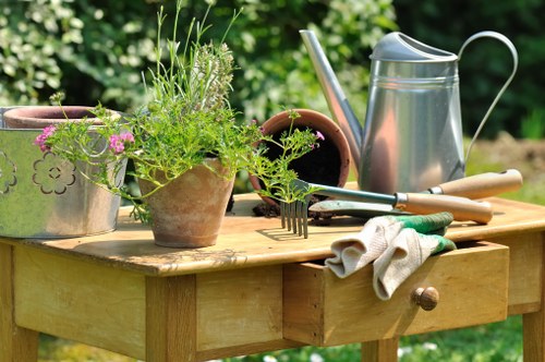 Back garden lawn in Osterley receiving professional care