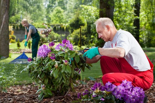 Professional garden maintenance in Osterley keeping outdoor spaces neat