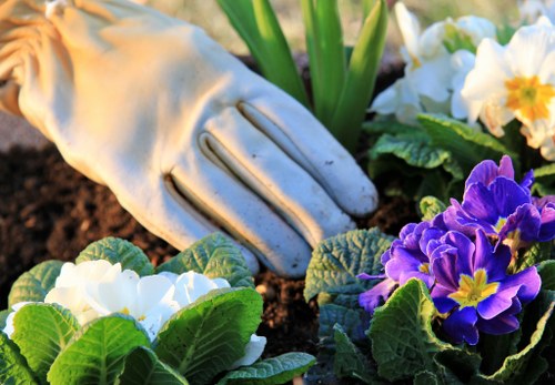 Thoughtful soft landscaping and planting design in Osterley