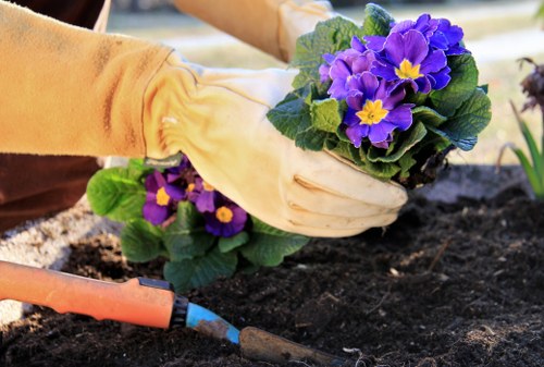 Inclusive Landscapers Osterley web design and ongoing accessibility improvements