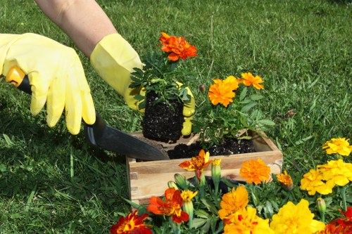 Keyboard navigable landscapers Osterley accessibility features on a website