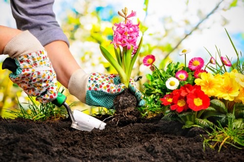 Zero-tolerance policy and ethical landscaping statement