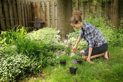 Professional landscaping in Osterley with elegant outdoor space