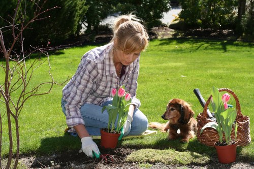 Quote estimate for garden and property clearance near busy Osterley roads