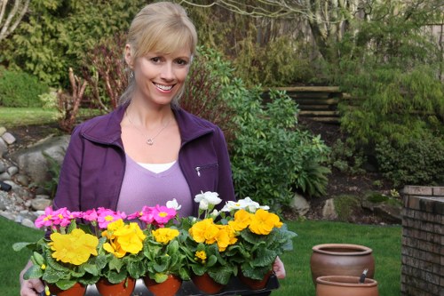 Accessibility request guidance for Landscapers Osterley website users