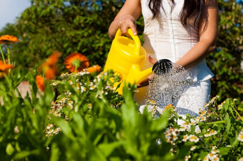 Image of a policy update notice for a landscaping website cookie policy