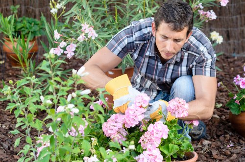 Professional Osterley landscaping with paving and planting